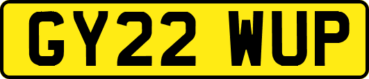 GY22WUP