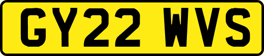 GY22WVS