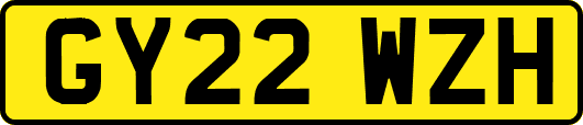 GY22WZH