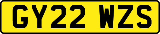 GY22WZS