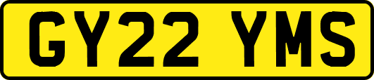 GY22YMS