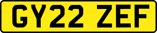 GY22ZEF