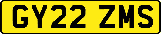 GY22ZMS