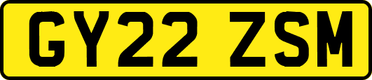 GY22ZSM