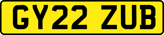GY22ZUB