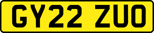 GY22ZUO