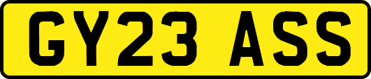 GY23ASS