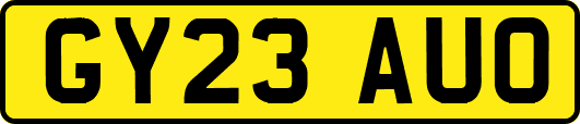 GY23AUO