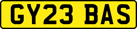 GY23BAS