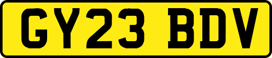 GY23BDV