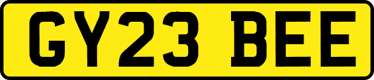 GY23BEE