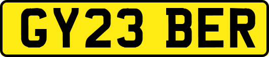 GY23BER
