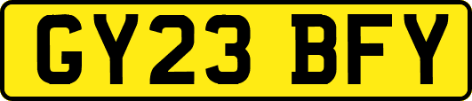 GY23BFY