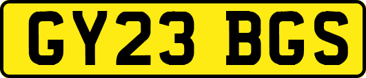 GY23BGS