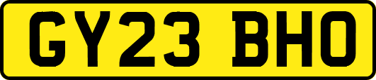 GY23BHO