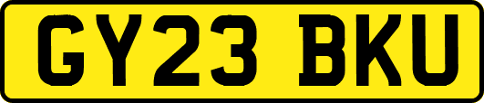 GY23BKU