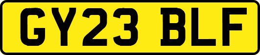 GY23BLF