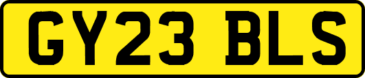 GY23BLS