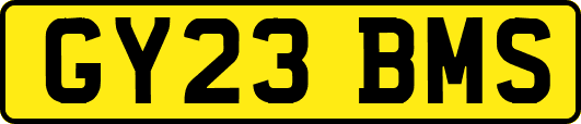 GY23BMS
