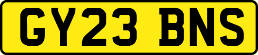 GY23BNS