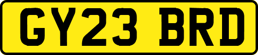 GY23BRD