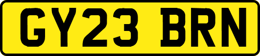 GY23BRN