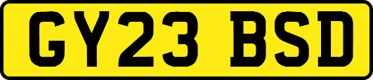 GY23BSD