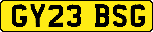 GY23BSG