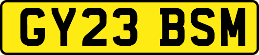 GY23BSM