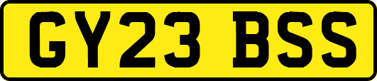 GY23BSS