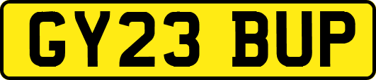 GY23BUP