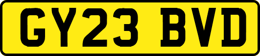 GY23BVD