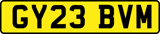 GY23BVM