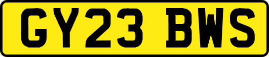 GY23BWS