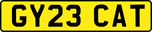 GY23CAT