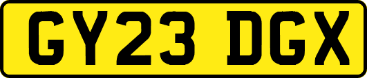 GY23DGX