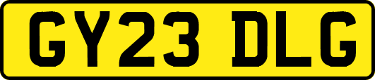 GY23DLG