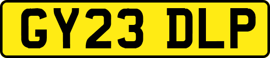 GY23DLP