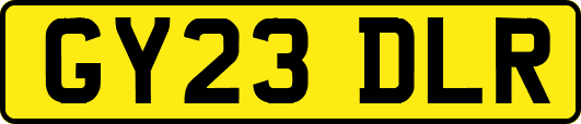 GY23DLR