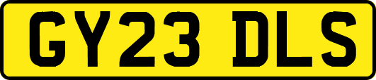 GY23DLS