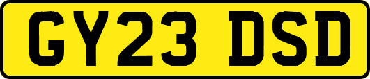 GY23DSD