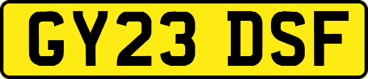 GY23DSF