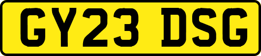 GY23DSG