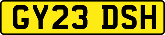 GY23DSH