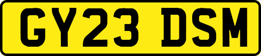 GY23DSM