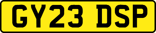 GY23DSP