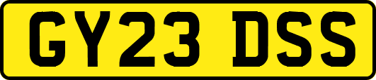 GY23DSS