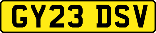 GY23DSV