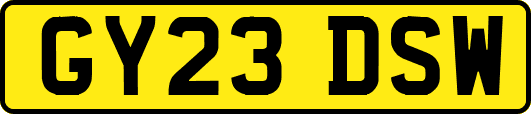 GY23DSW