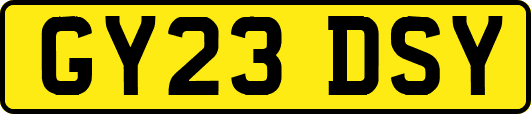 GY23DSY